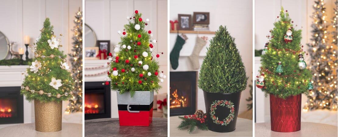 tabletop Christmas trees