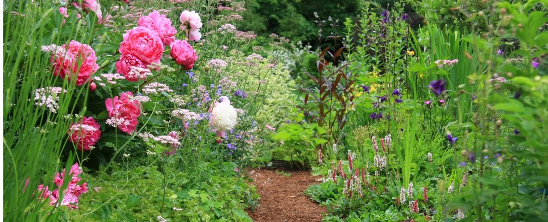spring perennial rock garden