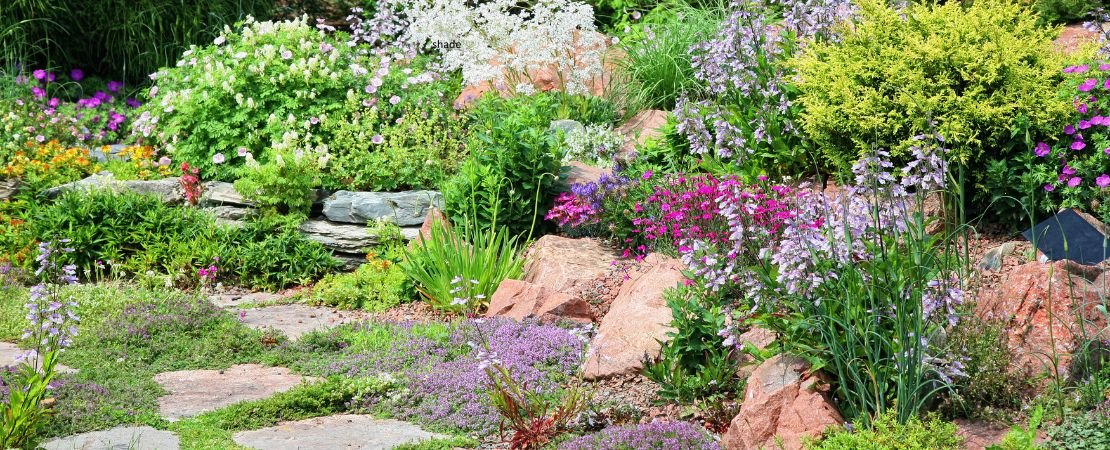 perennial rock garden with flagstones