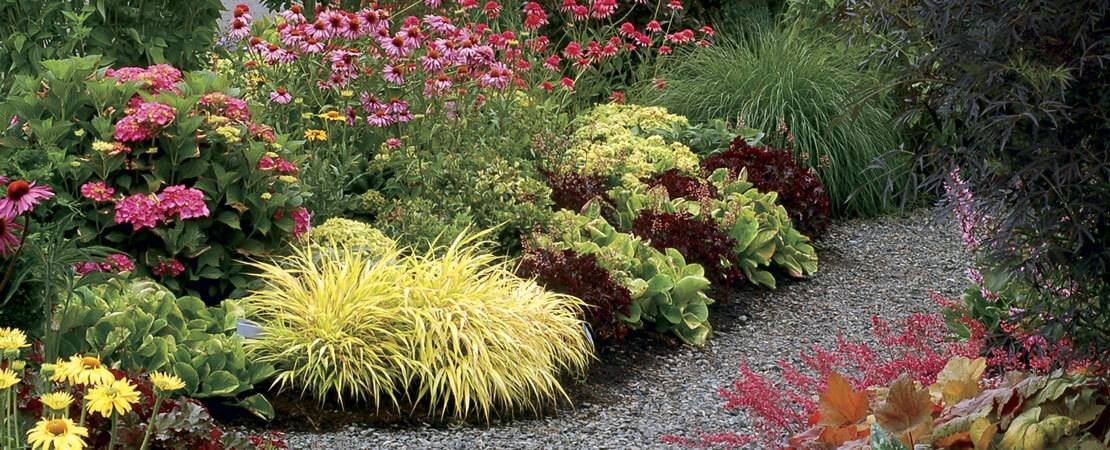 Main image for the article:Perfect Plants for Low Light