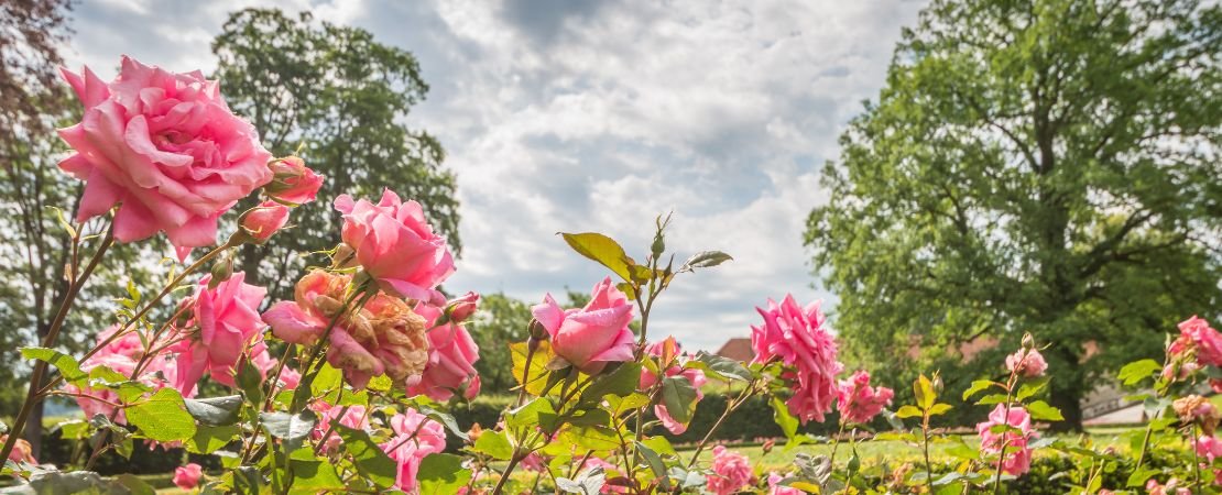 Main image for the article:Top 15 Countdown: A Pop Culture Timeline of Perennial Favorites