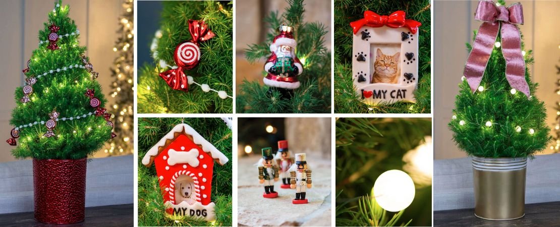 Main image for the article:Holiday Trees Gifting Guide