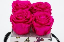 Blog image for Why We’re Fans of Preserved Roses