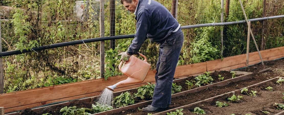 Main image for the article:Real Men Garden