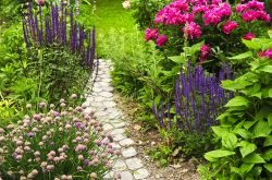Blog image for The Best Companion Plants for Roses (And Why Each One Works)