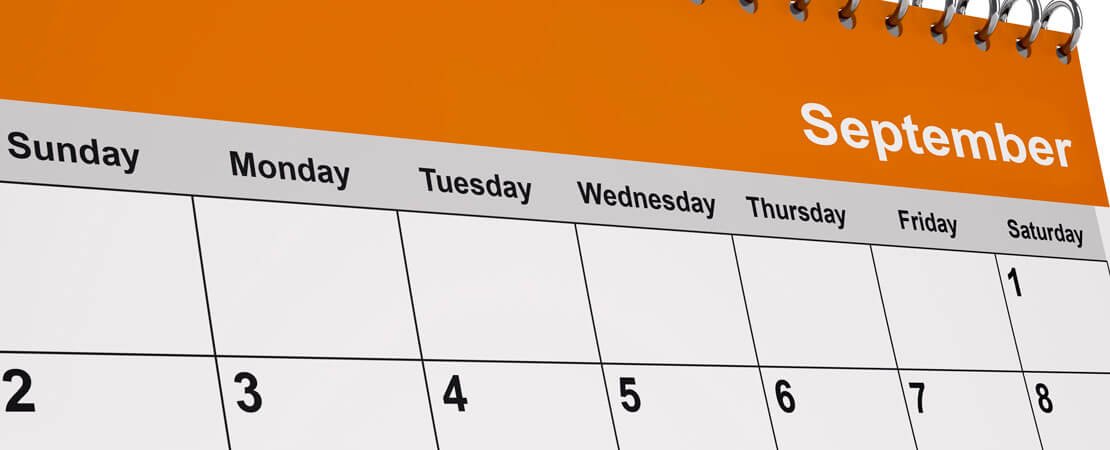 Main image for the article:What to Do in the Rose Garden – September