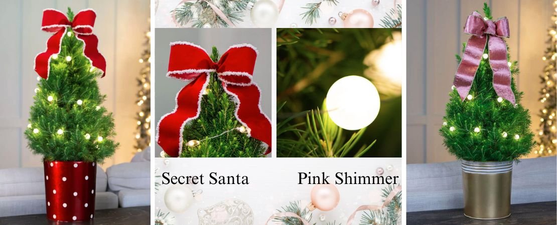 potted Christmas tree holiday gifts