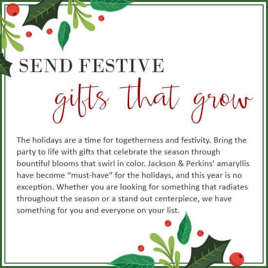 Send Festive Gifts that Grow