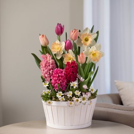 spring blooming bulbs in designer container