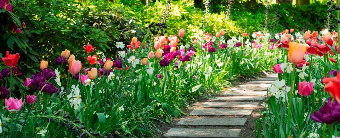 How to Fertilize Your Garden Plants in Spring: Expert Tips for Growth