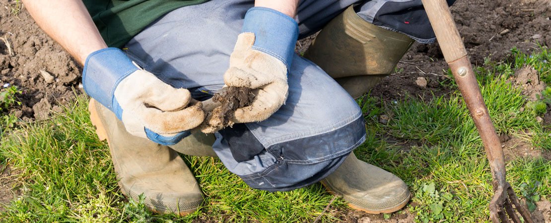 Main image for the article:Testing Your Soil – What’s your pH?