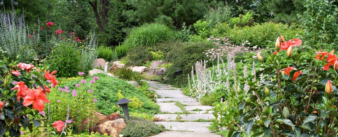 flagstone path winding through a foliage-rich garden