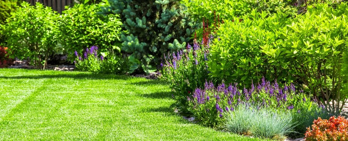 Main image for the article:Texture, Foliage & Layout: The Details That Shape a Beautiful Garden