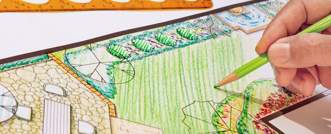 Main image for the article:The Great Garden Restoration – Part 1