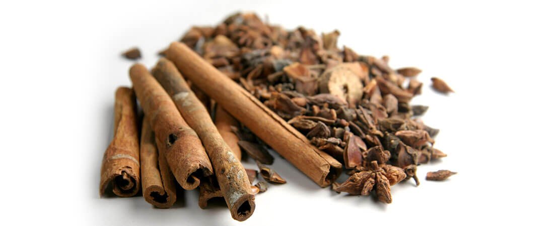 Main image for the article:Top 10 Household Items to use in the Rose Garden