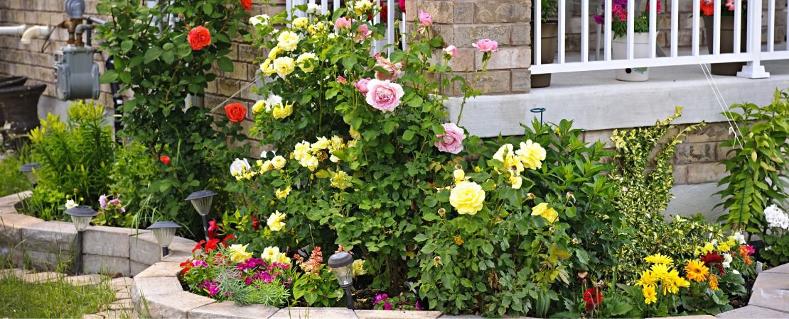 Main image for the article:What a Garden Gives