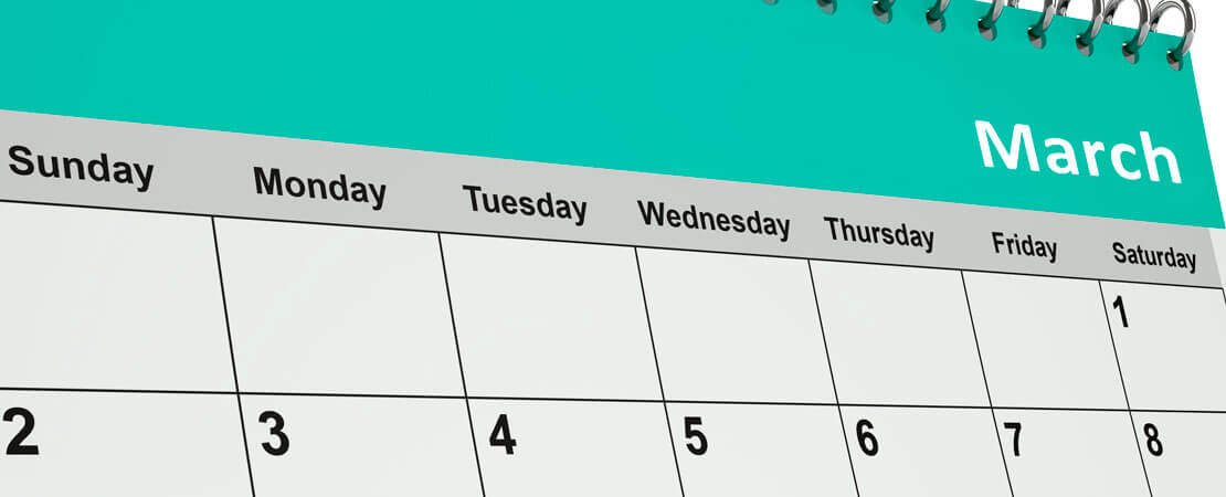 Main image for the article:What to Do in the Rose Garden in March