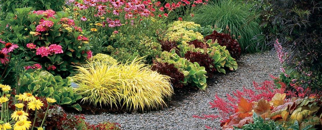 Main image for the article:Five Woodland Garden Ideas