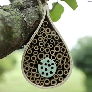 Dew Drop Bee & Bug Hotel