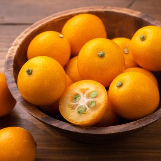 Citrus Fukushu Kumquat Tree