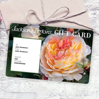 Jackson and Perkins Email Gift Card