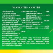AlgoPlus All-Purpose Plus Fertilizer Alternate Image 2