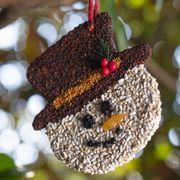 Frosty Cookie Bird Seed Treat Thumb