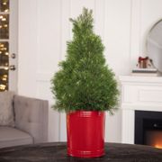 Classic Red Spruce it Up Tabletop Tree Thumb