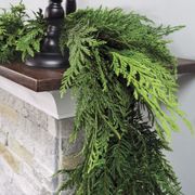 Mixed Evergreen Christmas Garland Alternate Image 1