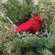 Cardinal Wishes Christmas Centerpiece Alternate Image 1