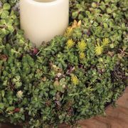 Mixed Succulent Candle Centerpiece Alternate Image 1