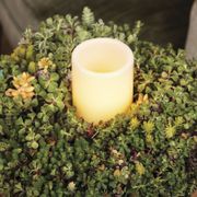 Mixed Succulent Candle Centerpiece Alternate Image 3