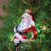 Celebrations by Radko 2025 Potted Christmas Tree Alternate Image 2