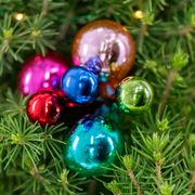 Shiny Brite&trade; Living Tabletop Christmas Tree Alternate Image 3