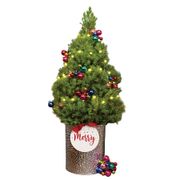 Shiny Brite&trade; Living Tabletop Christmas Tree Alternate Image 4