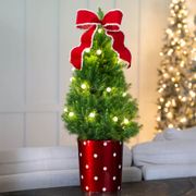 Secret Santa Potted Christmas Tree Thumb