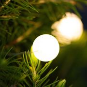 Secret Santa Potted Christmas Tree Alternate Image 2