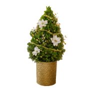 Winter Shimmer Living Tabletop Christmas Tree Alternate Image 4