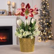 Holiday Splendor Bulb Garden Thumb