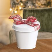 Amaryllis Gift Set Apple Blossom Flower Bulb Alternate Image 3