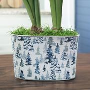 Winter Watch Double Alfresco Amaryllis Flower Alternate Image 2