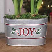 Joyful Winter Double Red Lion Amaryllis Flower Alternate Image 2