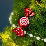 Peppermint Twist Potted Christmas Tree Alternate Image 2