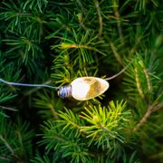 Holly Jolly Potted Christmas Tree Alternate Image 2