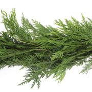 Western Red Cedar Garland Alternate Image 1