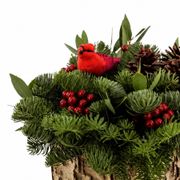 Cardinal Wishes Fresh Evergreen Arrangement Alternate Image 1