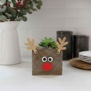 Holiday Reindeer Succulent Gift Thumb