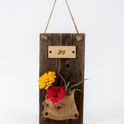 Joy Wall Plaque with Air Plant Gift Alternate Image 1