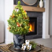 Forest Friends Living Tabletop Christmas Tree Thumb