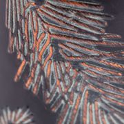 Forest Friends Living Tabletop Christmas Tree Alternate Image 6